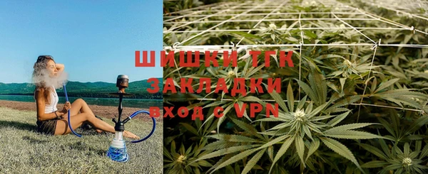 гидра Белокуриха
