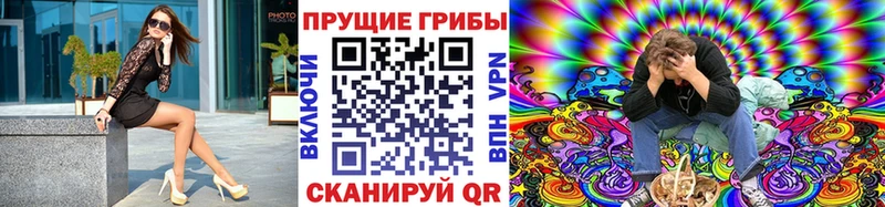 Купить закладки Алзамай Псилоцибиновые грибы MAGIC MUSHROOMS